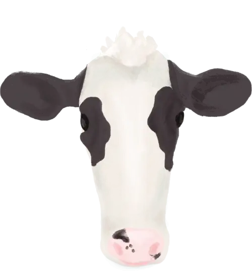 Ilustración cabeza vaca